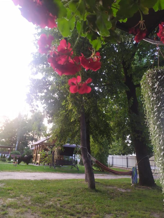 Чорний Лелека Svityaz' Dış mekan fotoğraf
